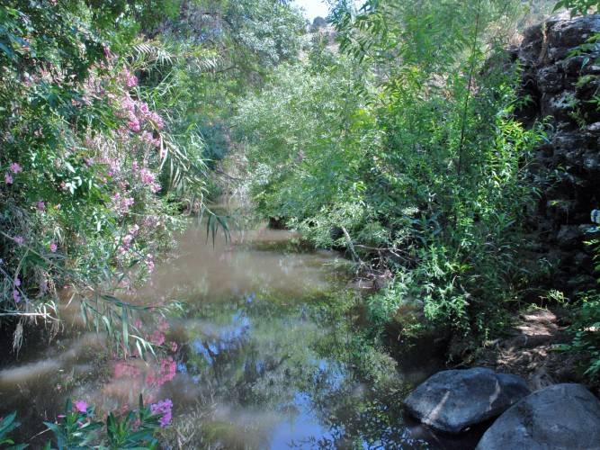 צילום:אריה טננבאום