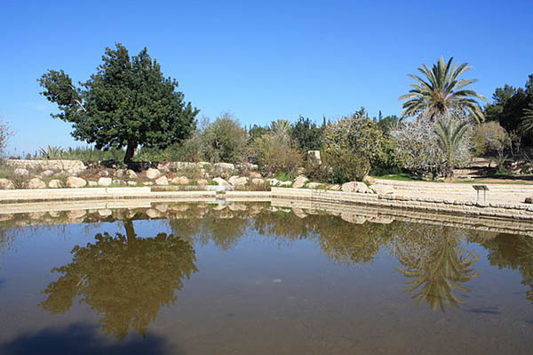 640px-Canada_park_lake