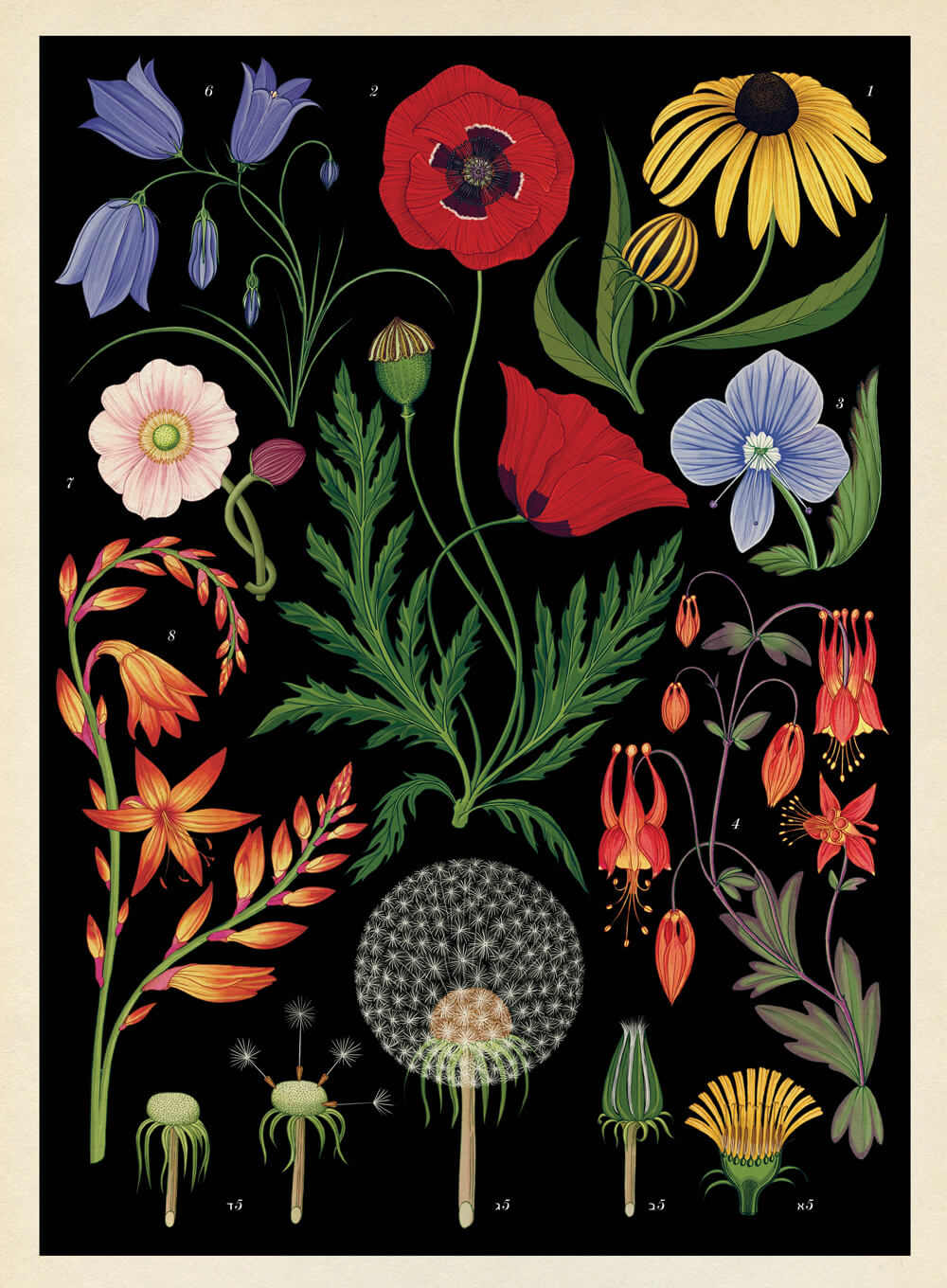 מגזין מקו ועד תרבות / מיזם דיגיטלי ללא צרכי רווח Botanicum</br>Katie Scott & Kathy Willis</br></br>"מוזיאון הצמחים" – ספר אמנות מרגש  