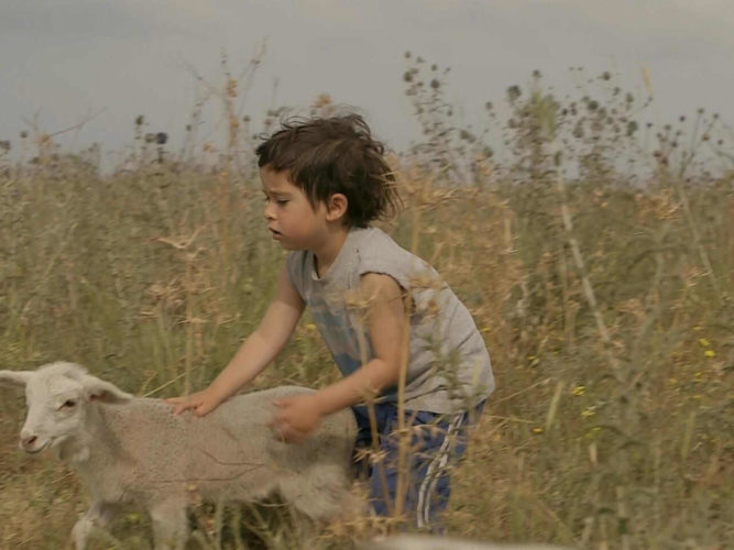 מגזין מקו ועד תרבות / מיזם דיגיטלי ללא צרכי רווח ילדים מכאן</br>סדרה דוקומנטרית על יום בחיי ילד ישראלי</br></br>"טקסי" החיים היומיומיים, המשפחתיים והתרבותיים.  