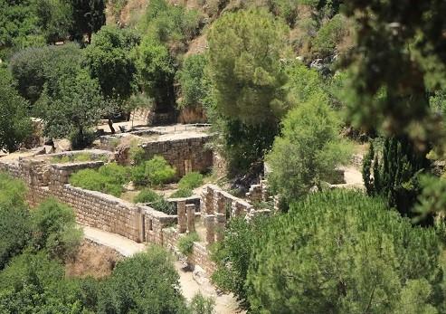 לב הכפר. צילום: בלה נודלמן, קק"ל