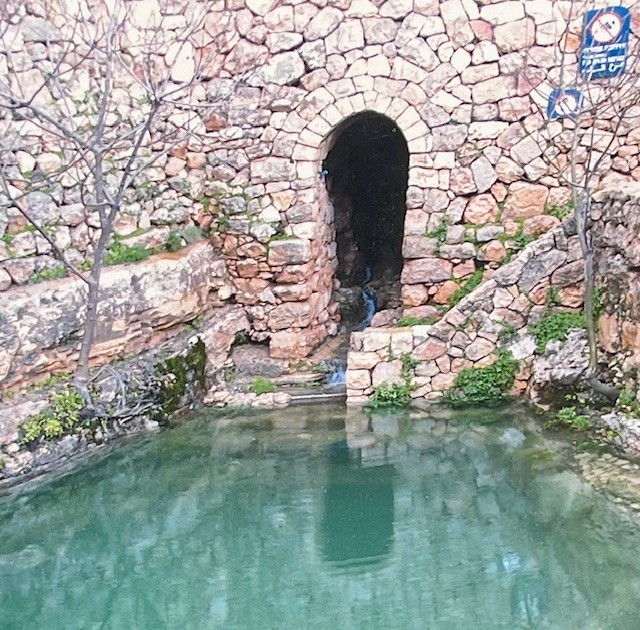 'עין ביכורה', צילום גידי בשן, ארכיון צילומי קק"ל